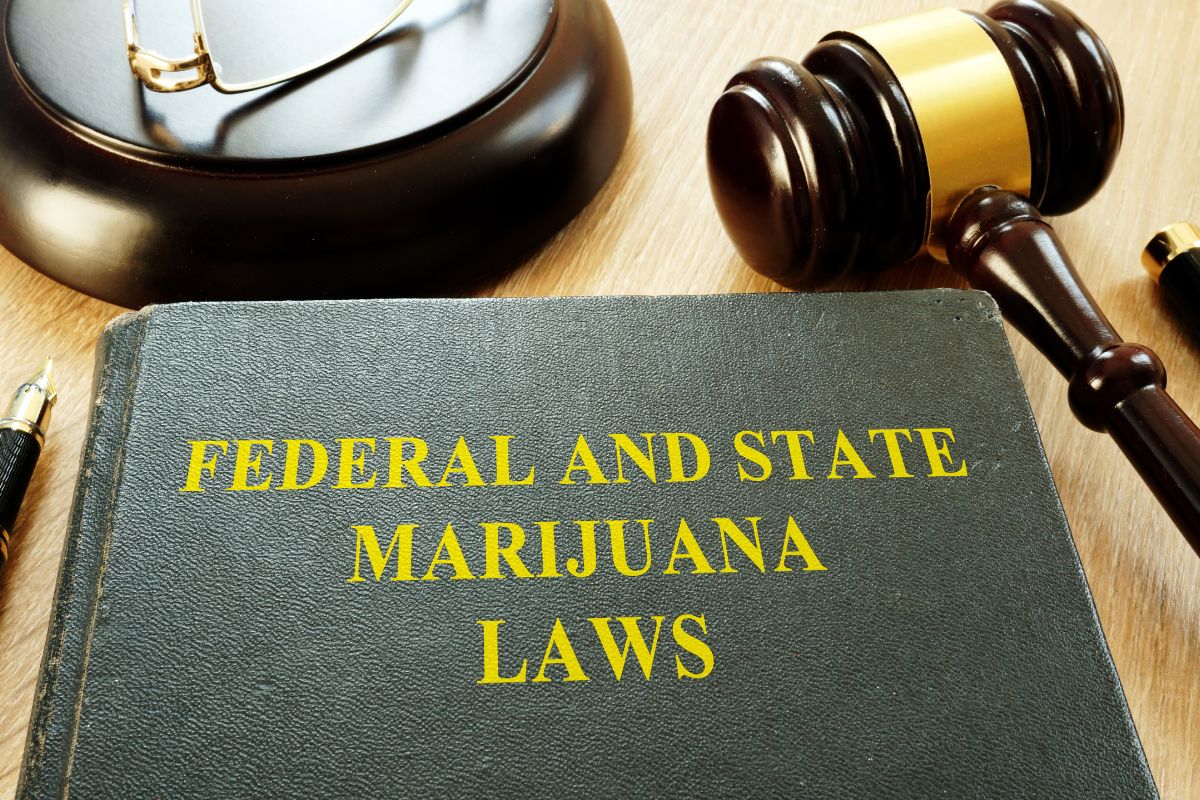Federal and State Marijuana Law book kept with gavel.
