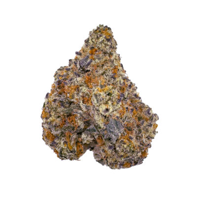 A dense cannabis bud from the Gary Payton THCa Pre-Roll - 1g exhibits purple, green, and orange hues with crystal-like trichomes for a frosty appearance. Perfectly prepped for a premium pre-roll against a plain white backdrop.