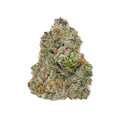 The Gary Payton THCa Pre-Roll - 1g showcases dense, triangular buds in green with purple hues, coated in frosty trichomes and highlighted by vibrant orange pistils, all set against a white background.