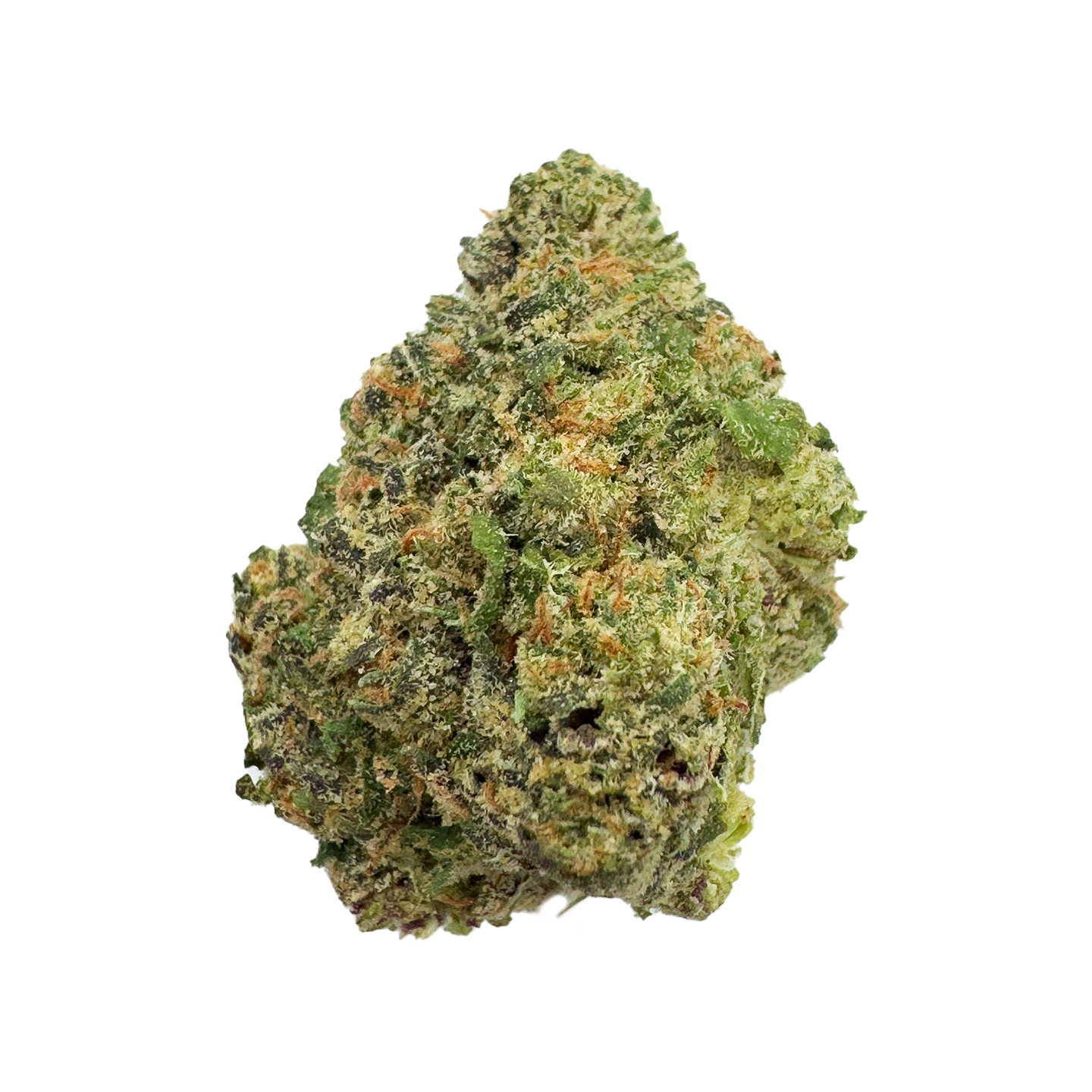 A close-up of a cannabis bud showing a dense structure with shades of green, adorned with orange hairs and frosty trichomes, similar to the quality in Gary Payton THCa Pre-Roll - 1g, all set against a plain white background.
