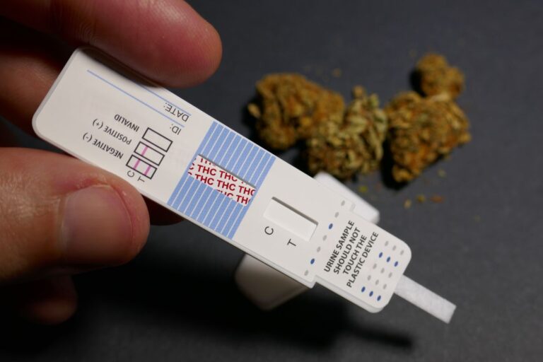 A person demonstrating his intention of inspecting the body for THCA