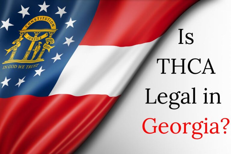Is THCA legal in Georgia written in the image with its flag on the left side depicting thca legality in state