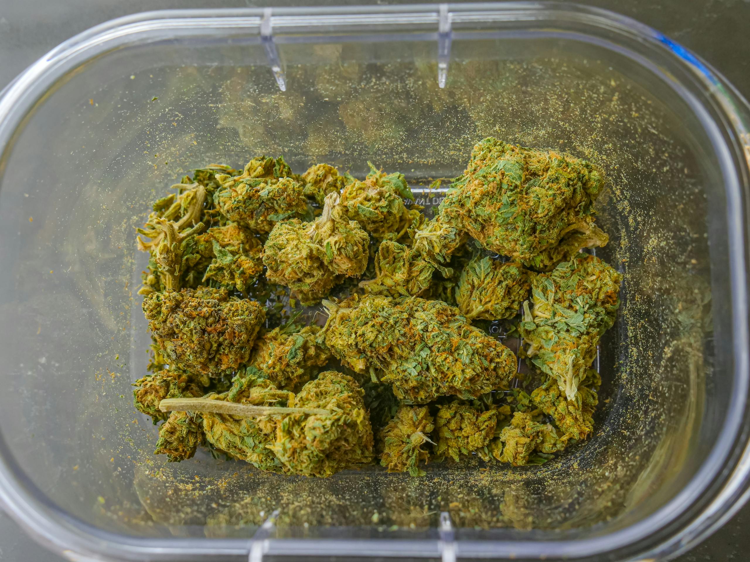 High-quality close-up image of dried cannabis buds in a clear glass container, showcasing texture and detail.