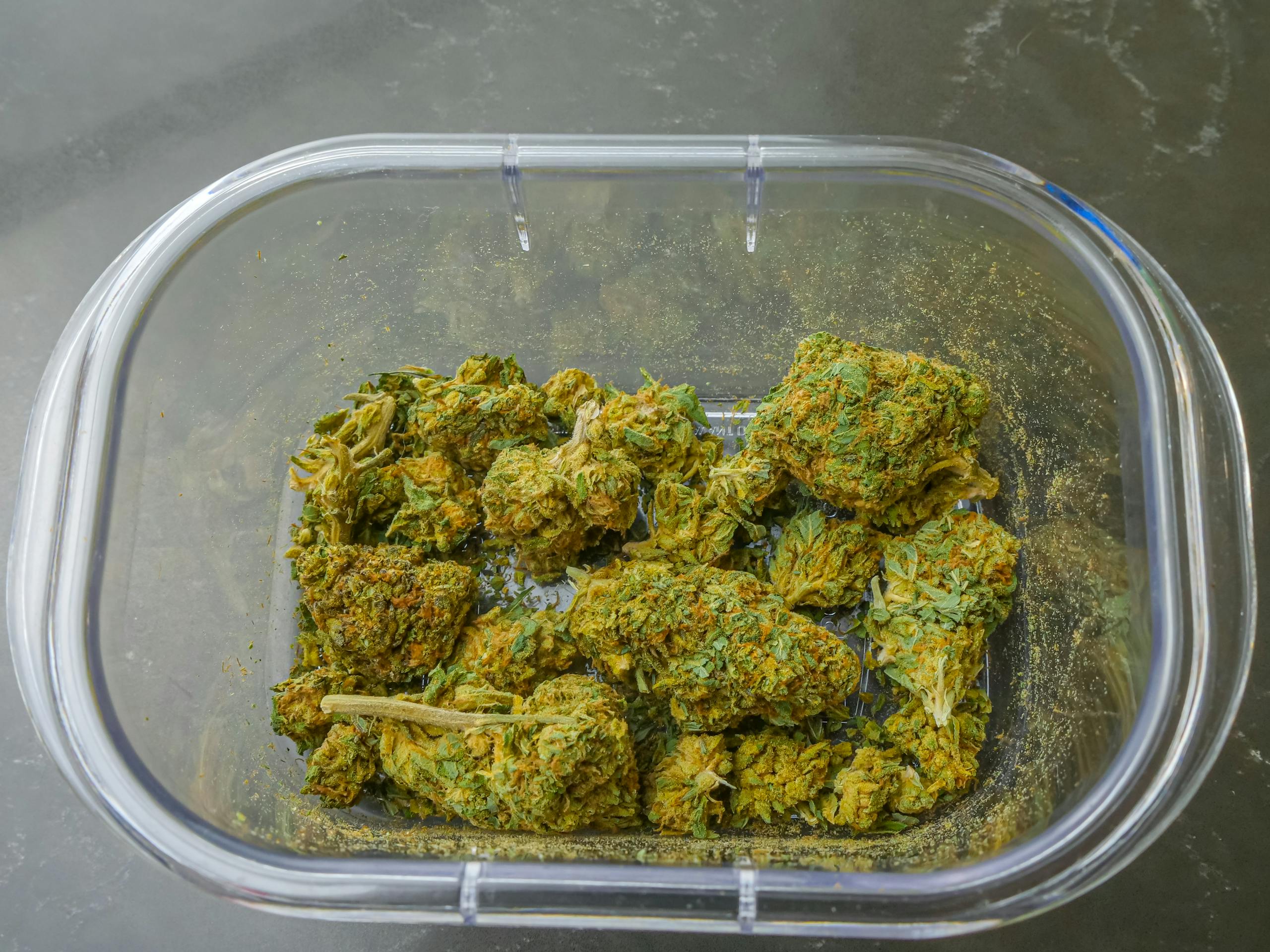Clear plastic container filled with dried cannabis buds from above, emphasizing texture and color.
