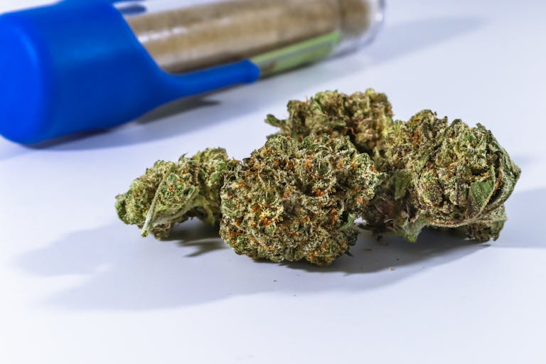 Detailed close-up of cannabis buds with a blue container in the background.