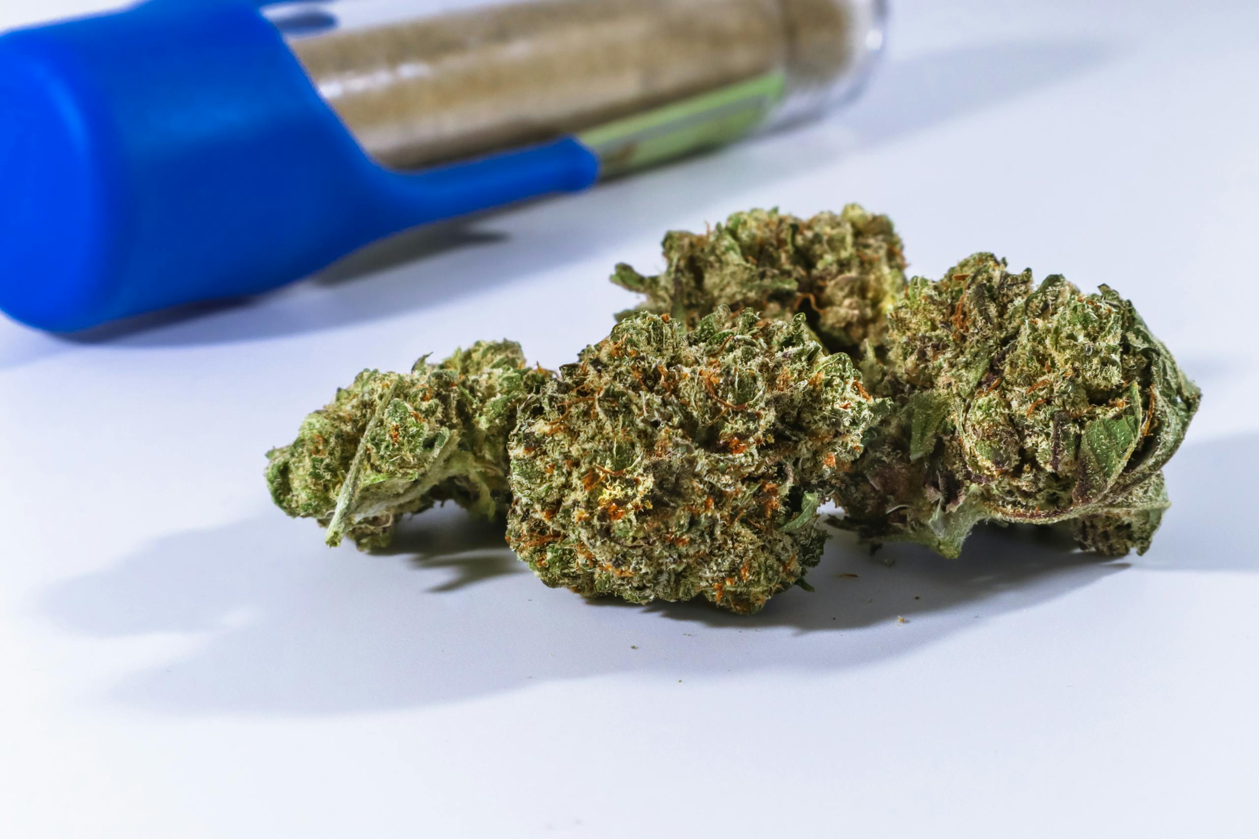 Detailed close-up of cannabis buds with a blue container in the background.